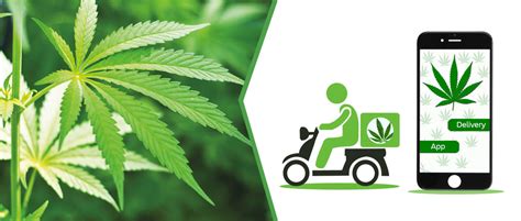 <strong>Cannabis</strong> Businesses. . Cannabis delivery near me